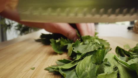 Zoom-out-macro-video-of-hand-cutting-lettuce